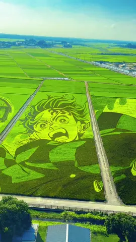 Tanjiro Takes Over the Rice Fields! 🌾🔥 #DemonSlayer #RicePaddyArt #anime #japananime 