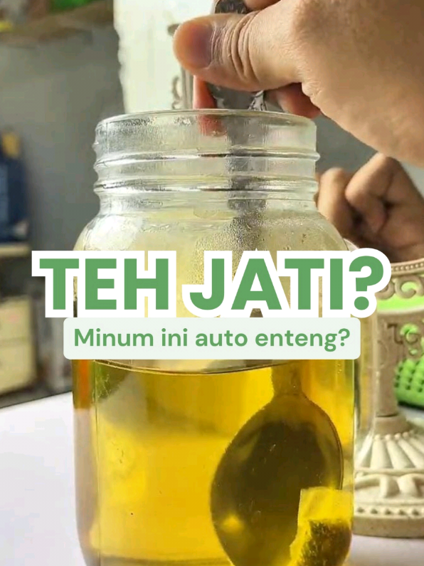 Ada yang pernah coba? Kamu tim Teh Jati Cina atau tim Teh Hijau? Coba review jujur di komentar🤔 #sennafit #tehjaticina #Sennaleaf #greentea #tehhijau 