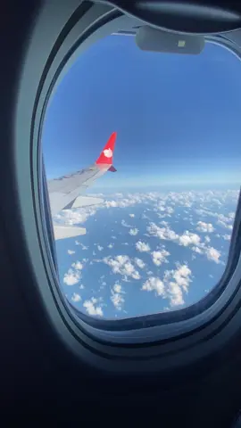 Window seat the best view ✈️  #bandarasoekarnohatta #lionair #fypシ゚ #tiktok 