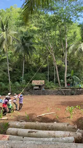 Golek pakan kok direwangi nubruk nanjuk #fyyyyyyyyyp 