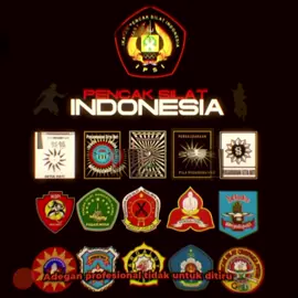 Pagar Nusa adalah singkatan dari Pencak Silat Nahdlatul Ulama Pagar Nusa. Ini adalah organisasi yang menjadi wadah bagi seni bela diri pencak silat di bawah naungan Nahdlatul Ulama (NU). Organisasi ini didirikan pada tanggal 3 Januari 1986 di Pondok Pesantren Lirboyo, Kediri, Jawa Timur, dan kemudian diresmikan oleh Pengurus Besar Nahdlatul Ulama (PBNU) pada tanggal 16 Juli 1986. Pagar Nusa bertujuan untuk melestarikan, membina, dan mengembangkan pencak silat, baik dari segi bela diri, seni, mental spiritual, maupun olahraga/kesehatan, khususnya di lingkungan NU. Nama 