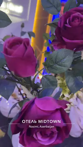 #saudi special love Saudi people ❤️🙏 thanks for everything 🙏thanks for your love to me ❤️❤️❤️