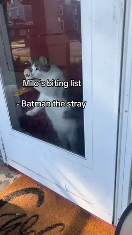 He had it out for him #fentysuperbrandday #CapCut #fuckcancer #cincinnati #fuckdrugs #hashtagsmeannothing #ohio 