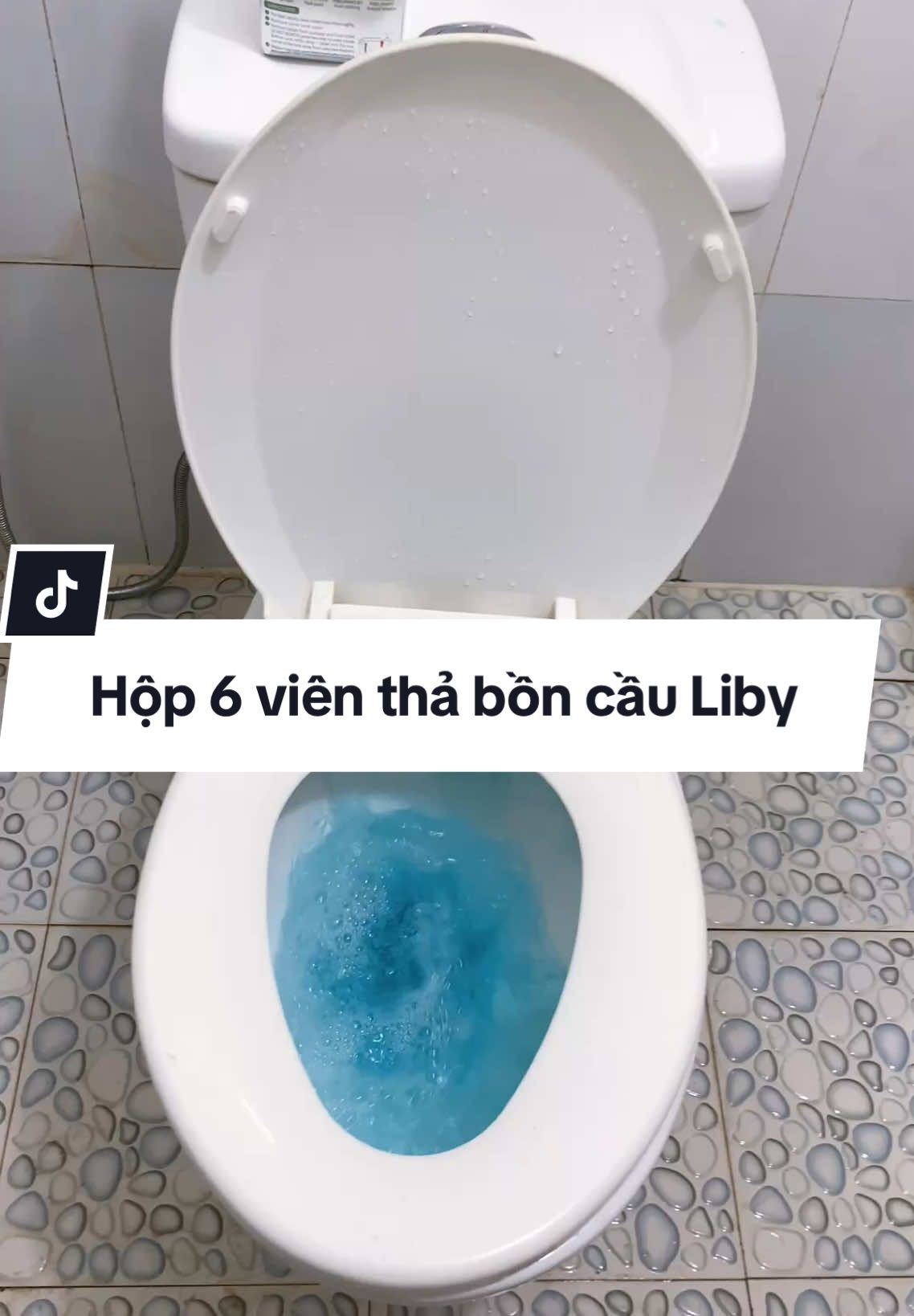 Dùng cái viên này nhà vệ sinh lúc nào cũng thơm mát sạch sẽ, thay vì  2-3 ngày chà cọ vệ sinh thì dùng e này cả tuần không chà cũng được #vienthaboncau #viensachboncau #vienthaboncauliby #sungthanh124 #giadungtienich 