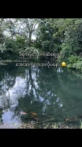 #ဒီရက်ပိုင်းပျော်မနေဘူး😞😞 