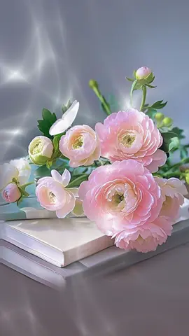 #اللهم_انا_نسالك_صباحا_مبشرا #صباحكم_سعادهـ🌸🍃 #صبحكم_الله_بالخير #صباحكم_احلى_صباح #وبك_اصبحنا_ياالله_يسعدلي_صباحكم♥️ #صباح_الورد_والفل_والياسمين_وكل_انواع_الزهور #صباحكم_سعادهـ🌸🍃🌸🍃🌸🍃 #صباح_الخير🌻🌹ر #صباح #صباحياتي🌸🎼 #صباحات #صبحنا_واصبح_الملك_للها #🥀ا #صباحكم_أحلى_صباح_يااجمل_متابعين #صباحكم_أحلى_صباح🌹🌹🌹 #ان_البشائر_فى_الافاق_مرتسمه #والصبح_بعد_سكون_الليل_يخبرنيي