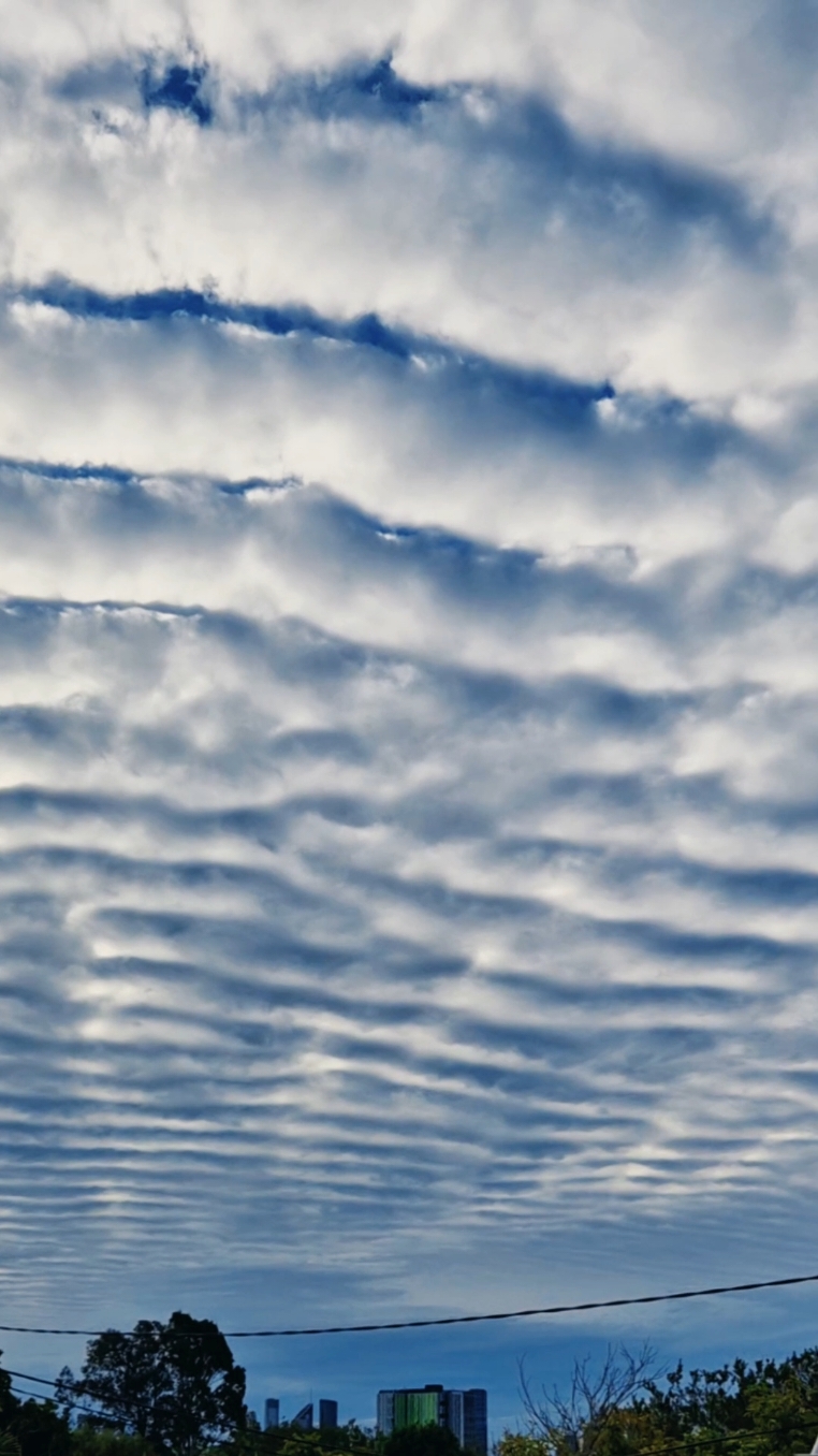 Rare altocumulus undulatus clouds over Brisbane on July 31, 2025 ☁️ . . . . . . . . #dahitamarakoch #brisbane #greenslopes #rareclouds #altocumulusclouds #altocumulusundulatus #australianskies #cloudlovers #cloudchasing #ilovescience #cloudphotography #cloudsofinstagram #instaquerkopf #specialinterests #audhd [Anzeige, Verlinkungen]