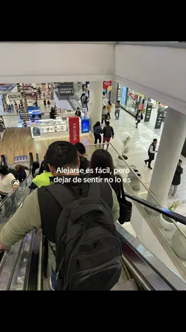 Yo no me quería ir