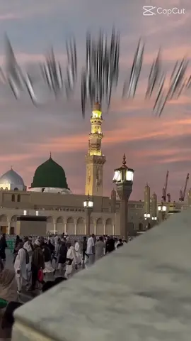 اللہ محمد رسول 