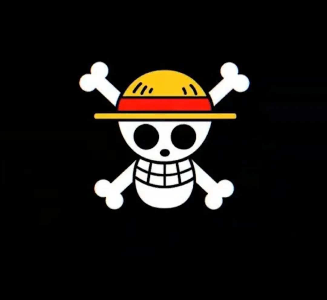 #pponepiece #ppviral #fyp 