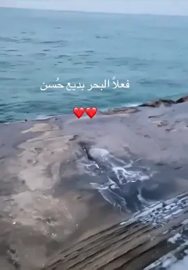 #مَشاهدات #طويق #المالكي #الشعب_الصيني_ماله_حل😂😂 #الشعب_الصيني_ماله_حل😂😂 #الهشتاقات_للشيوخ😎 #الهلال_العالمي #السعودية🇸🇦 #مشاهدات 