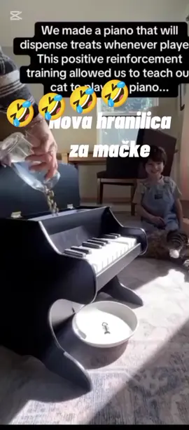 Mačke na Balkanu.🤣🤣🤣#acalukas #viral #fouryou #video 