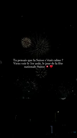 Le 1er août, Neuchâtel s’est illuminée pour célébrer la fête nationale suisse 🇨🇭 Les feux d’artifices était juste incroyable 🔥  #fireworks #nationalday #swiss #suisse #switzerland #schweiz #feudartifice 