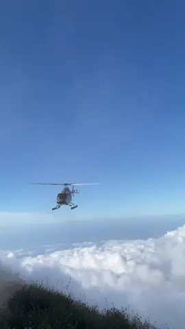 #fyp #rinjanimountain 