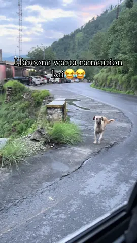 #fyp #funny #viral 