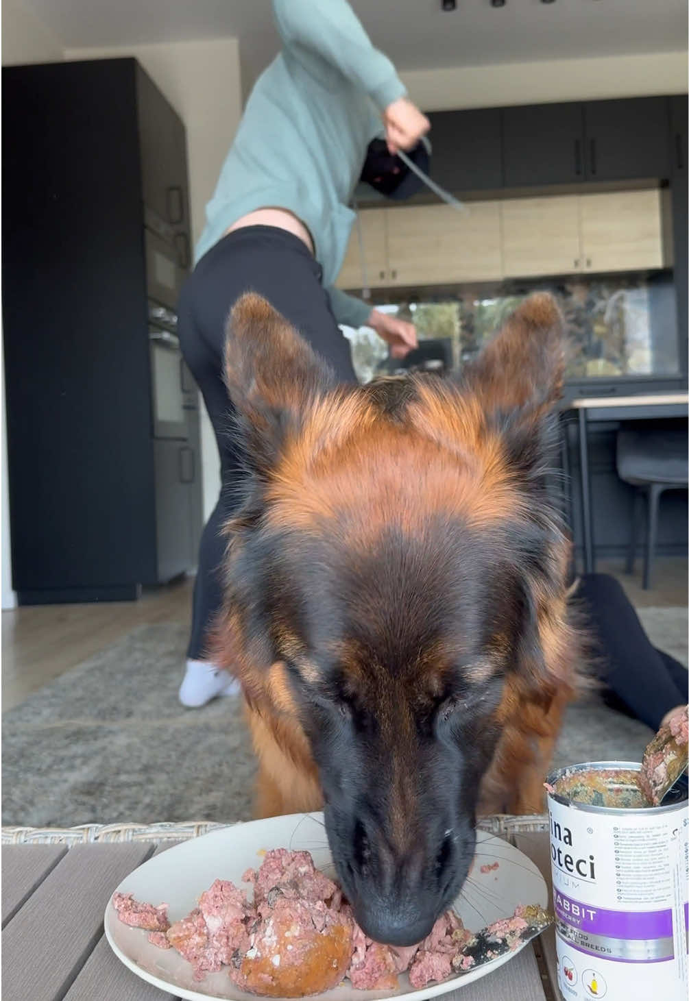 DIRA'S TOUGH CHOICE: SAVE MOM OR EAT FOOD? (MY GERMAN SHEPHERD REACTION!) #gsd #gsdoftiktok #germanshepherd #fyp #dog 