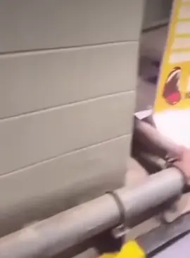 scream for free icecream