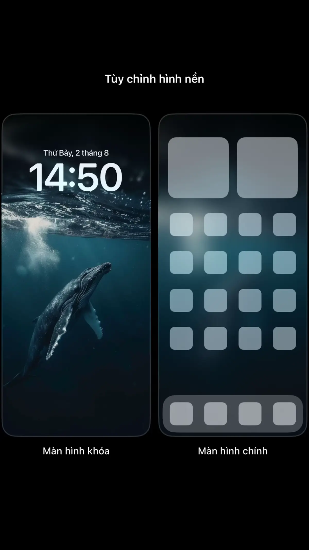 Ảnh nền đại dương đẹp 🪸 #hinhnendienthoai #hinhnendep4k #hinhneniphone #daiduong 