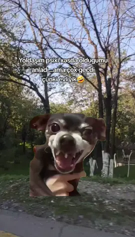 Eyni mən🤣😂#CapCut #fyppppppppppppppppppppppp #trend #tiktokviral_vidoes #video 