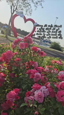 #اللهم إني احاول فأوصلني ، وإني اخاف فأمني ، وإني اتعثر فأقمني ✨#تركيا🇹🇷اسطنبول #متابعة_فضلا_ليس_امرا_صعبا_ #ستوريات 