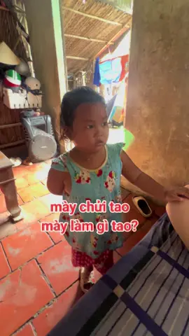 mày chửi tao thì làm gì tao? #giaitri 