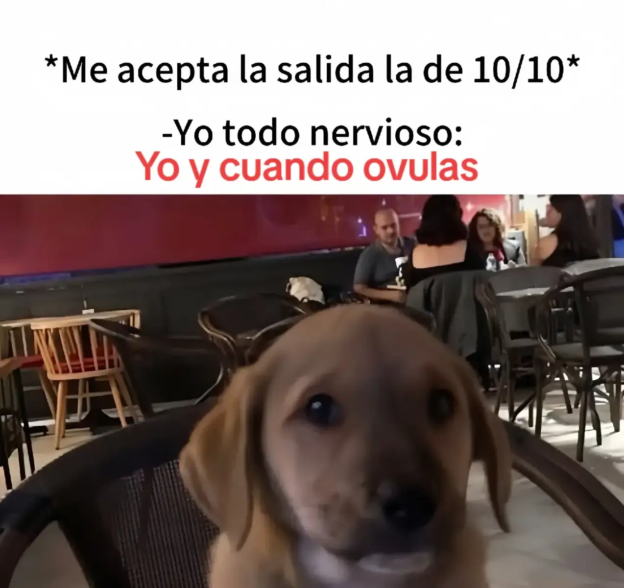 #ovulos #gotica #sita 