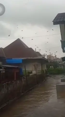 Yallah lindungilah hambamu dari marabahaya dan malapetaka aamiin🤲🥹#anginputingbeliung #anginkencang 