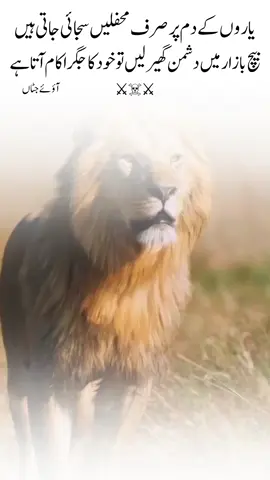 Trust only Allah and 🫵 #attitude #lionattitude #viralditiktok #foruyou #power #viralvideos #tik_tok 