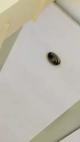 #zoyamalik #golibaaz #loveyou #🌹🌹🌹🌹🌹 #✌️✌️✌️✌️✌️ 