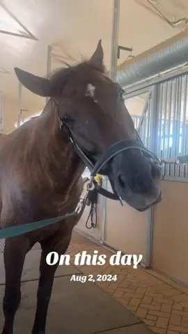 #onthisday 