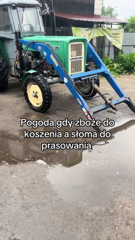 #tegodnia #kielce #klątwaparczewska #graoplon #świętokrzyskie 