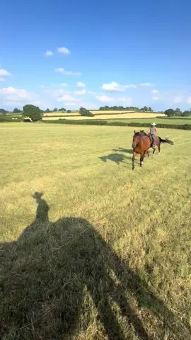 😭#horsekick #horseriding #horses #fyp #foryouu 
