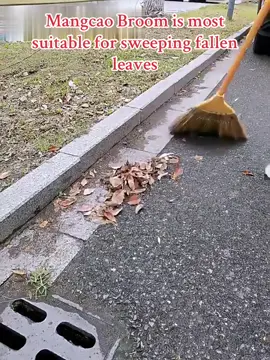 Get one of our brooms for your yard!#freeshipping#broom#floor#sweeper