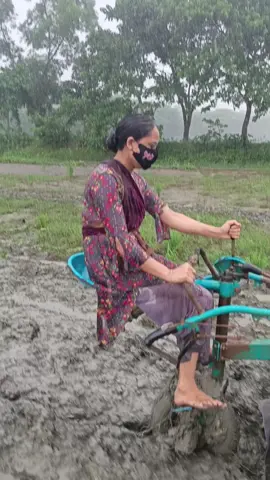 আমার ভালো বাসা 