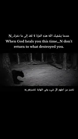 ##منوعات_عن_الحياة #منشوراتي_للعقول_الراقية_N #عباراتكم_الفخمه📿📌  #اكسبلورexplore❥كسبلورexplNaree 