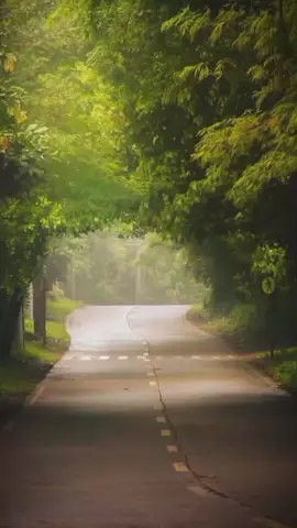 will of the wind #fyp #lyrics #fypシ゚viral #fyppppppppppppppppppp #foryou #you #musiclyrics 