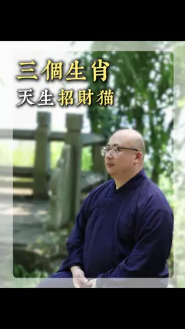 這3個生肖最得貓緣，天生招財貓體質！#五行 #八字 #算命 #財運 #玄學 #運勢 #台灣 #命理 #貓緣 #養貓 #動物 #生肖 #靈性 #旺運