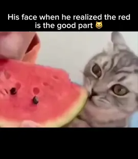 #fentysuperbrandday #edits #capcut #supporting #video #views #tictok #share #like #foryoupage #post #comment #broadcast #fyp #clips #catsoftiktok #cats 