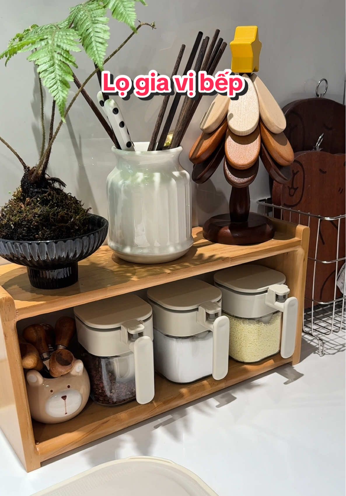 Lọ gia vị nắp bật nhà bếp tiện dụng #logiavi #logiavithuytinh #giadungnhabep #TH✿ 