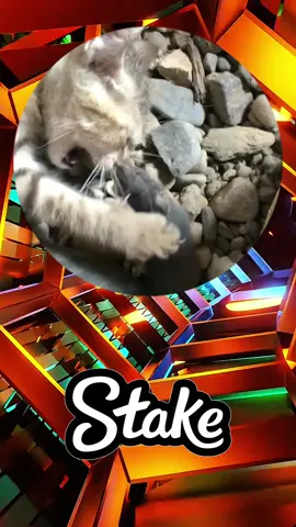#CapCut 