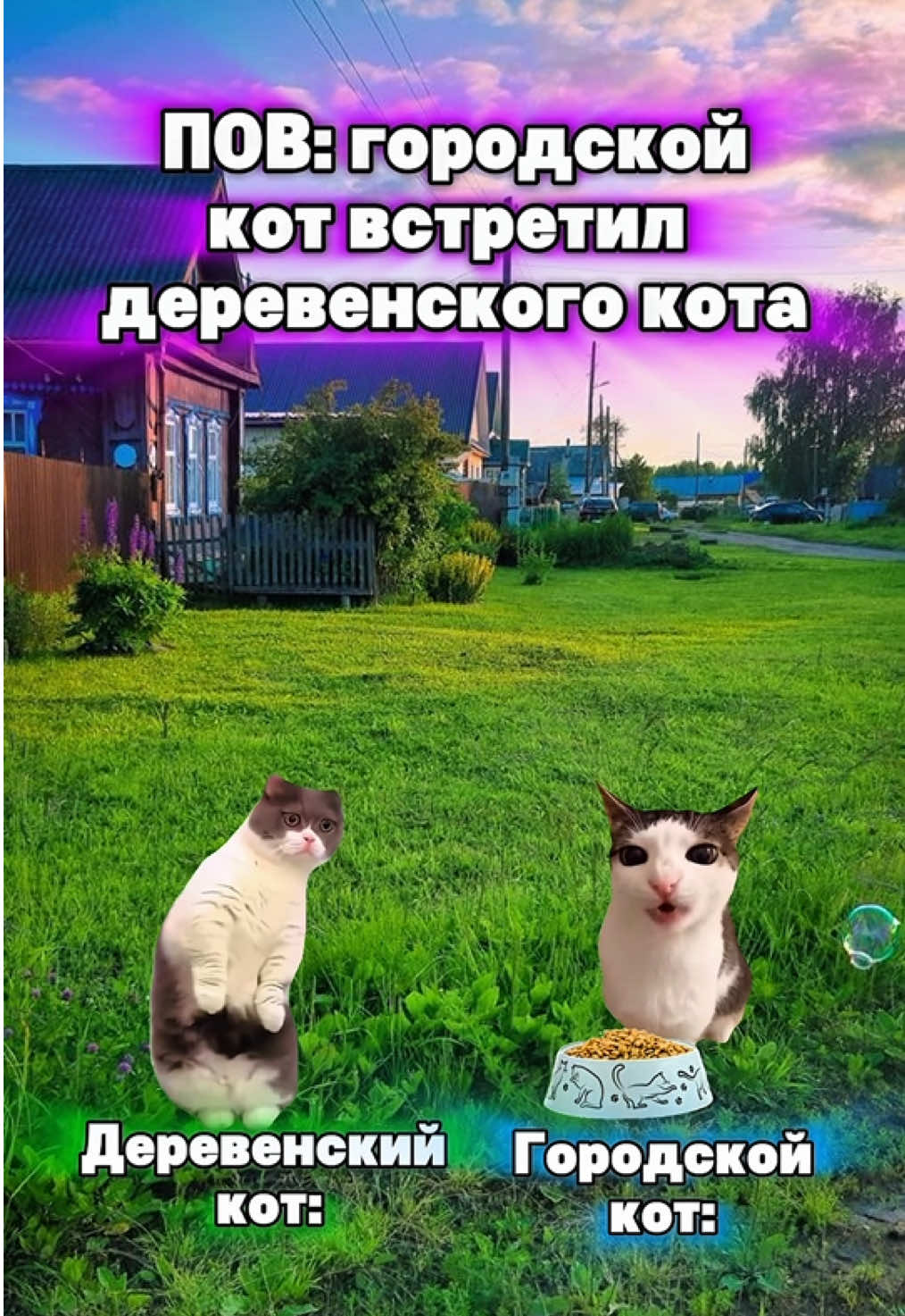Коты из разных миров🤣 #котята #мемы #жиза 
