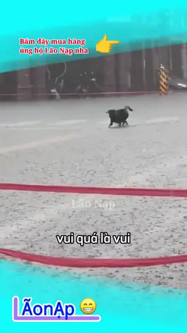 Mưa rồi ngập nước rồi 😂
