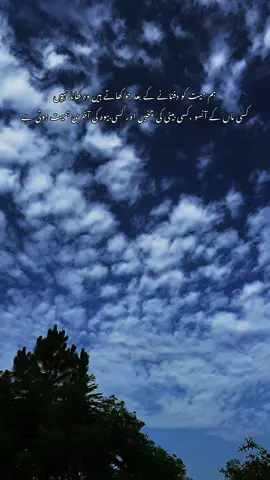 ہم میت کو دفنانے کے بعد جو کھاتے ہیں وہ کھانا نہیں  کسی ماں کے آنسو ،کسی بیٹی کی چخیں اور کسی بیوہ کی آخری ہمیت ہوتی ہے #creatorsearchinsights #frypgシ #foryounow #videotiktok #naturebeauty575 