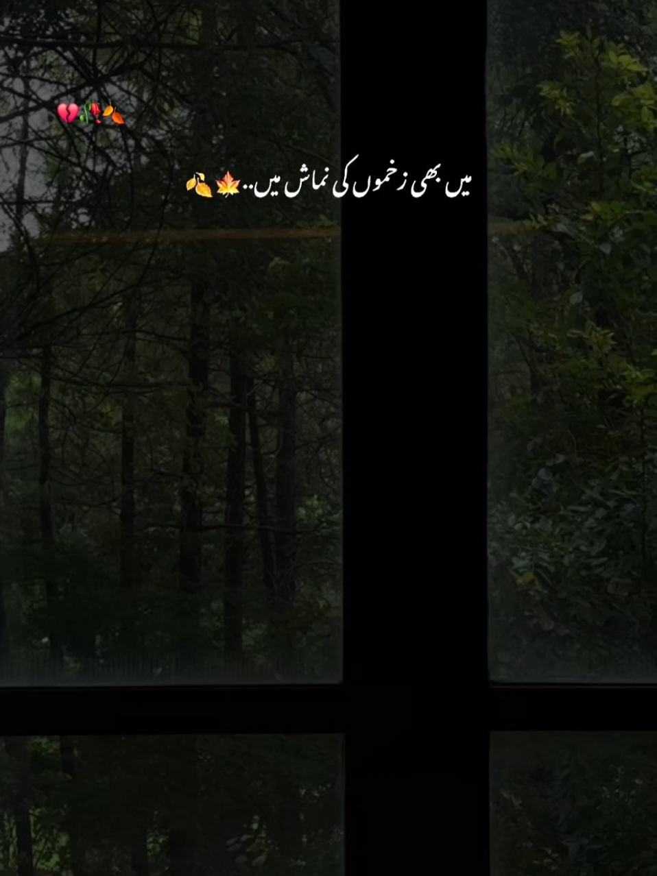 💔🥀🍂 #🖤🖤 #ArzooIqbal #sharyri #song #reelsfb #viralvideo #selflove #trending #trend #foryoupage #reels__tiktok #viraltiktok #reelsviral #reelitfeelit #reels #2024 #palstine🇵🇸 #freepalestine🇵🇸❤️ 