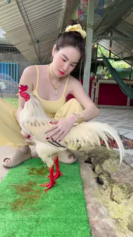 Vô ghệ cho cục vàng @xuanthao6666 