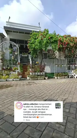 #homedecor #rumahdessy #monsteravariegata #monvar #monvar 