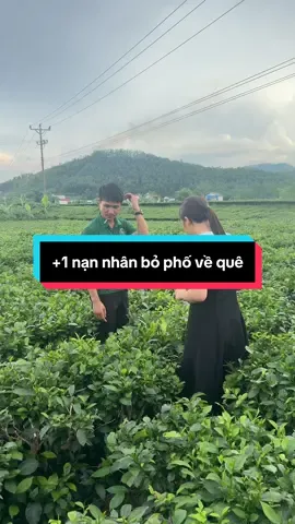 1 đứa em dại nghe theo lời đồn bỏ phố về quê không biết trụ được 3 hôm không #xuhuong #antamkhang #trathainguyen #khoinghiep 