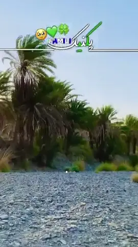 @farhadbaloch077 