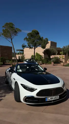 Summer in Ibiza