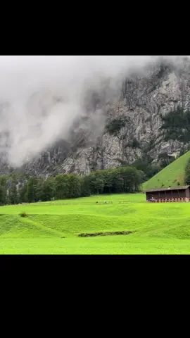#🇨🇭🇨🇭🇨🇭🇨🇭🇨🇭🇨🇭👍switzerland #switzarland🇨🇭 